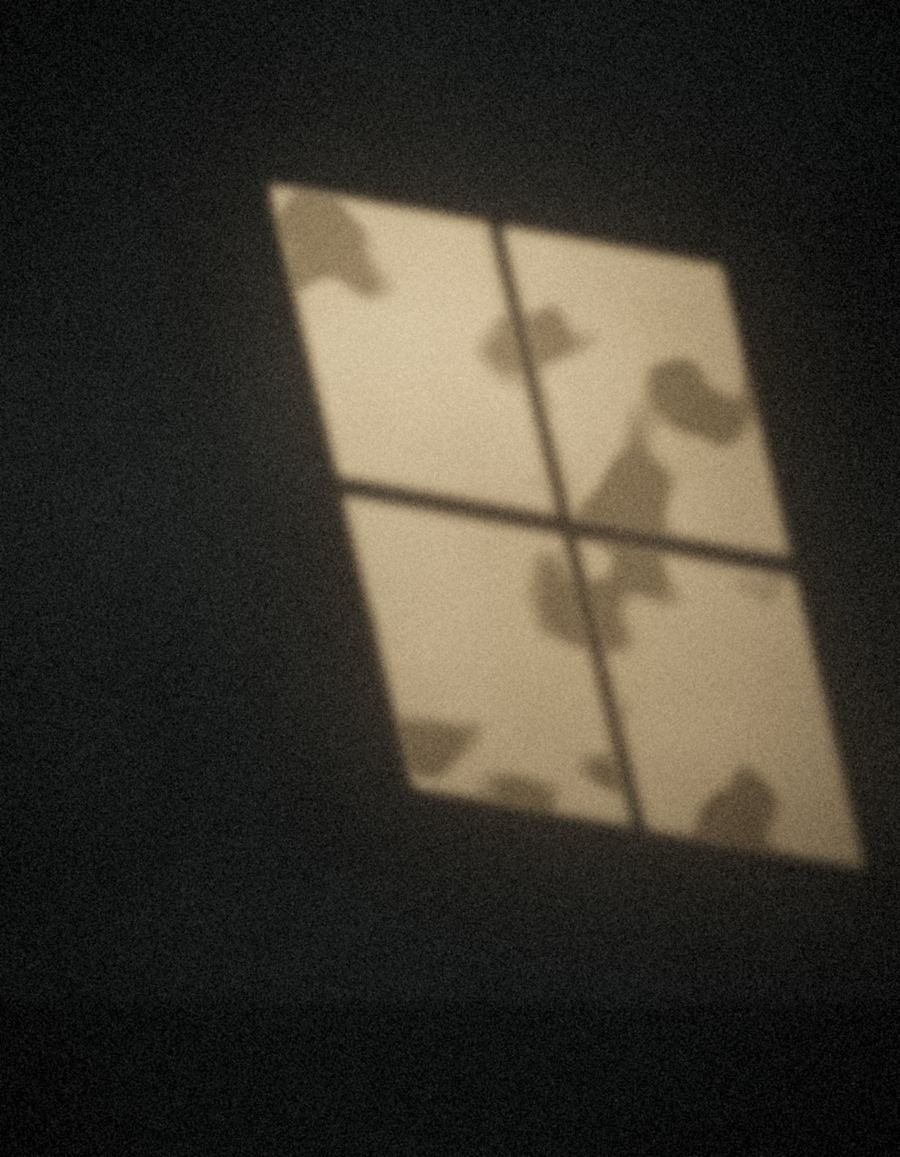 Portrait am Fenster